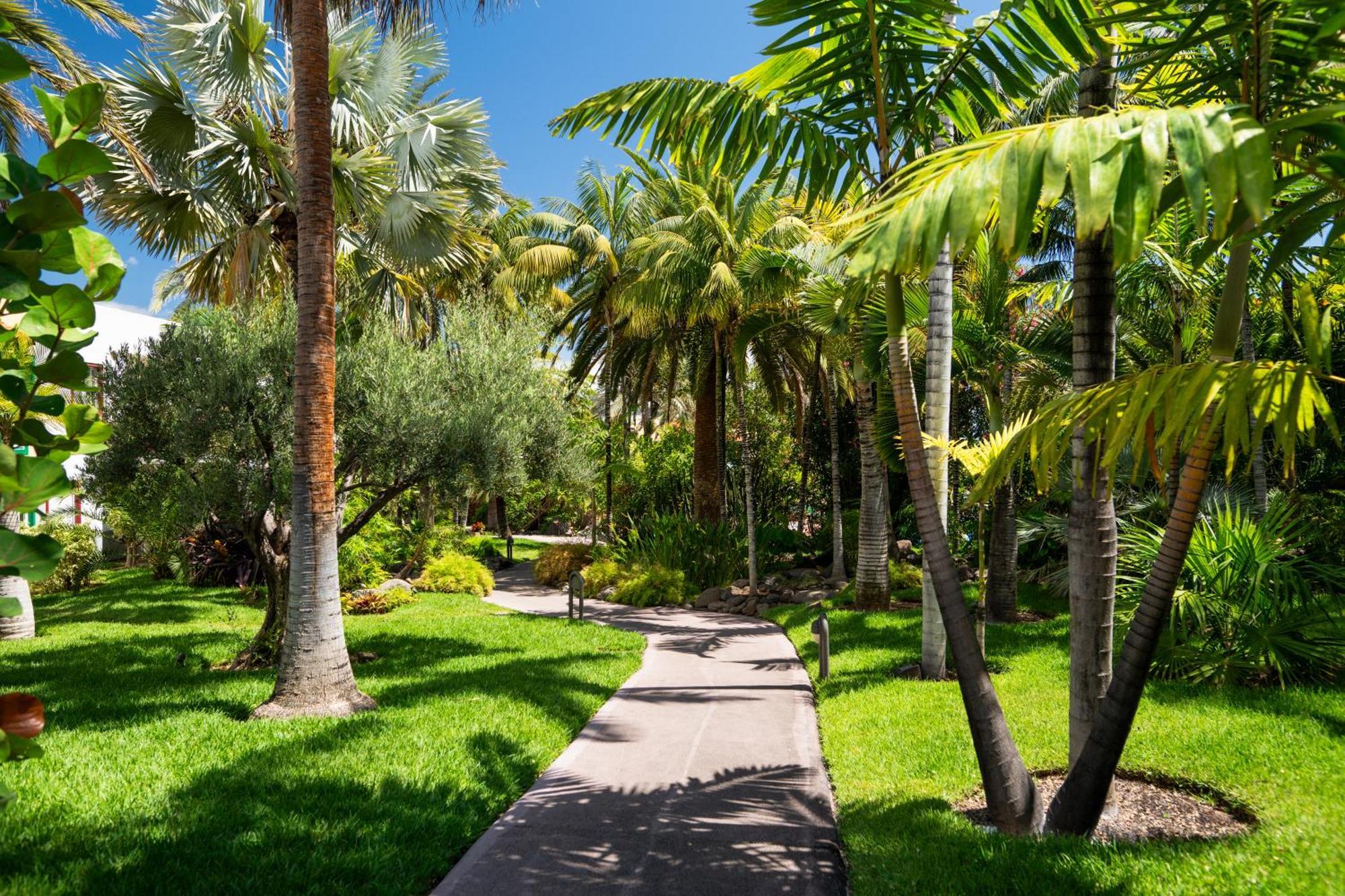 Hacienda San Jorge Breña Baja