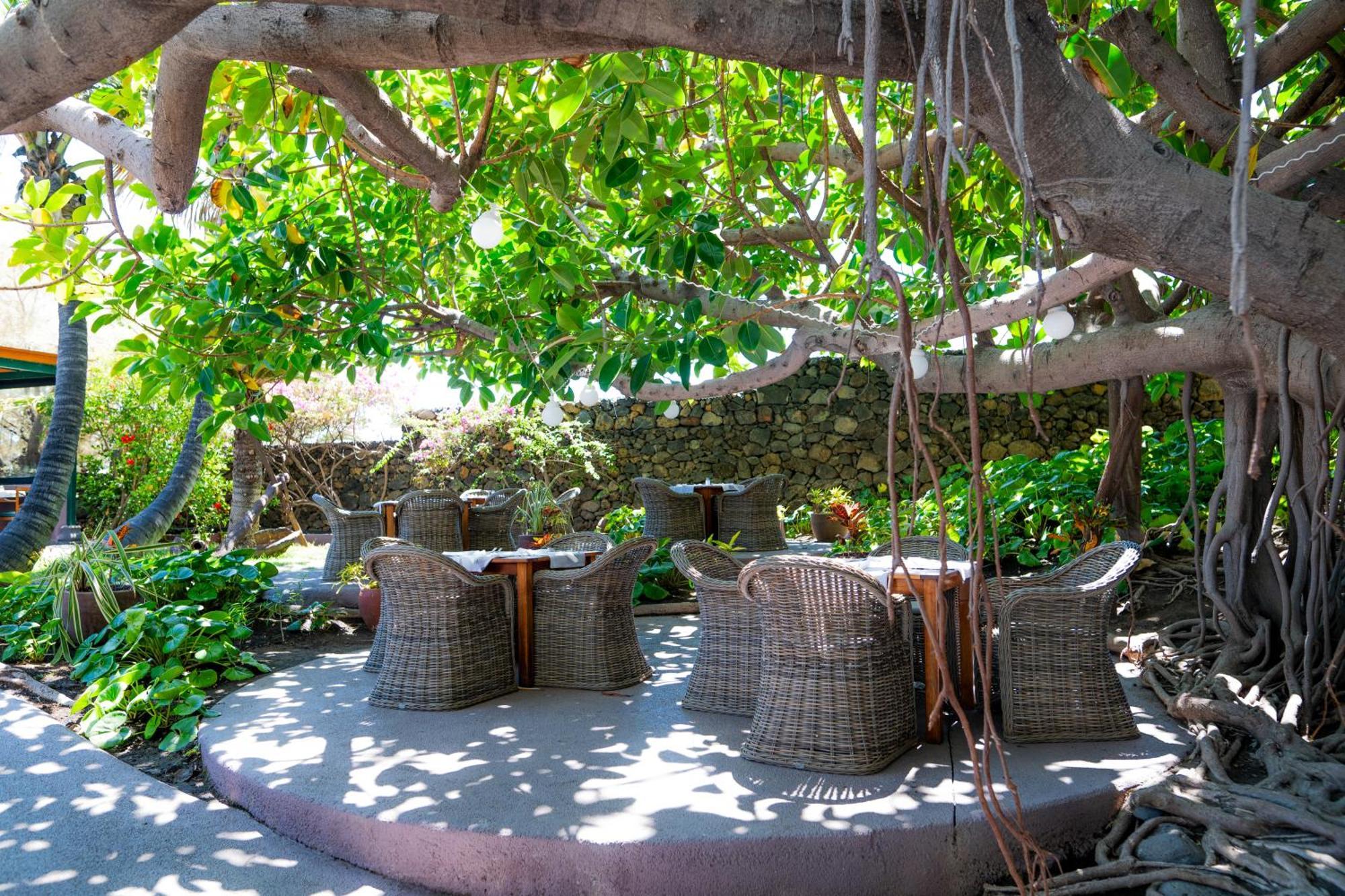 Hacienda San Jorge Breña Baja