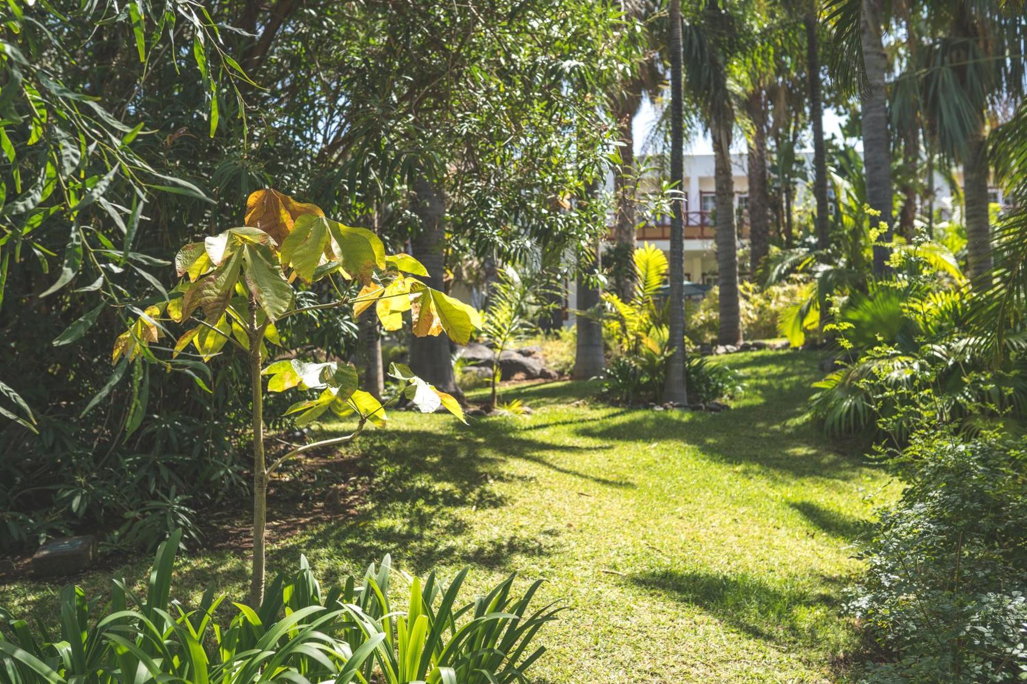 Hacienda San Jorge Hotel Breña Baja